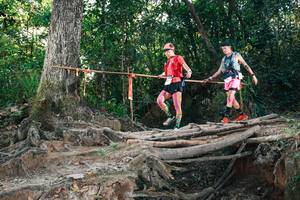 BIB: 
                            <button type="button" onclick="openModal(27302179)" class="btn btn-primary btn-sm float-right btn-popup" data-toggle="modal" data-target=".modal-high-quality">
                        <i class="fas fa-shopping-cart"></i> Add to Cart
                    </button>
                                            <button type="button" onclick="isThisMe(27302179, true)" class="btn btn-success btn-sm float-right btn-popup btn-isme hidden" data-toggle="tooltip" data-placement="bottom" title="นี่คือรูปของคุณใช่ไหม คลิกที่นี่เพื่อเอาเข้าอัลบั้ม">
                        <i class="fas fa-plus"></i> Add to album
                    </button>
                    <button type="button" onclick="isThisMe(27302179, false)" class="btn btn-warning btn-sm float-right btn-popup btn-isnotme hidden">
                        <i class="fas fa-ban"></i> Remove from album
                    </button>